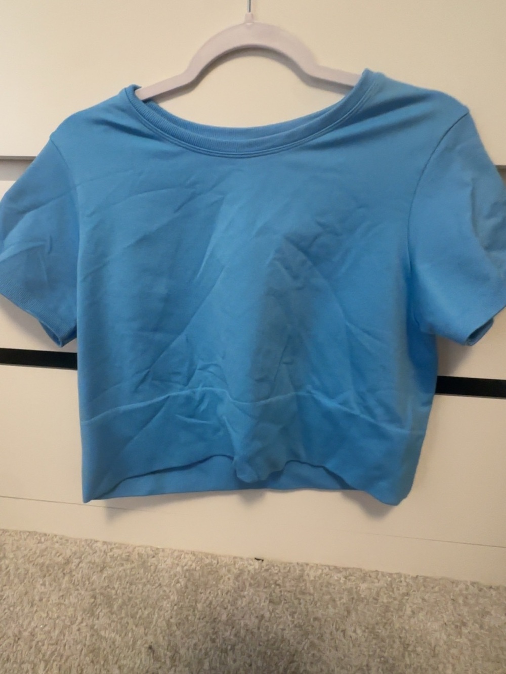 Arie Sky Blue Crop Top